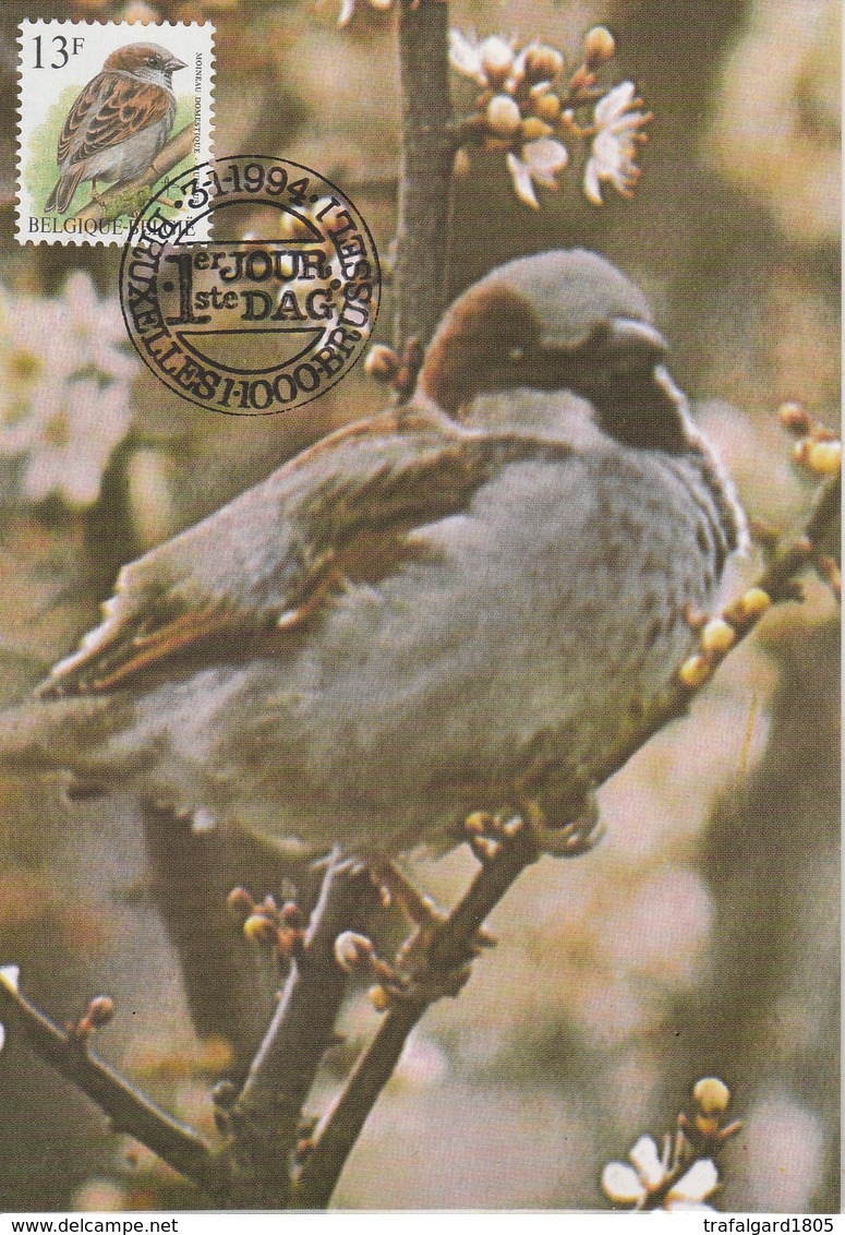 1002. BUZIN  LE MOINEAU DOMESTIQUE - 1985-.. Oiseaux (Buzin)