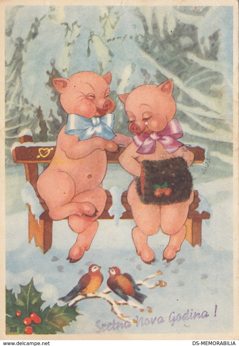 Pigs Love Couple Old Postcard 1964 - Cochons