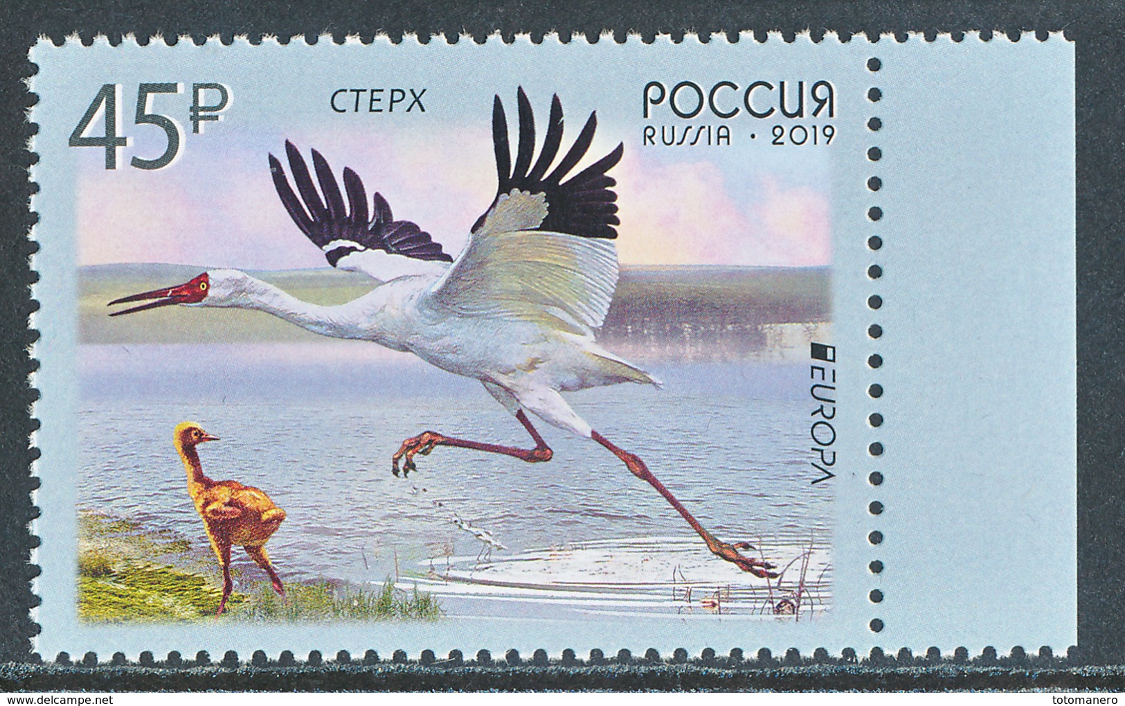 RUSSIA/Rußland EUROPA 2019 "National Birds" Set Of 1v** - 2019