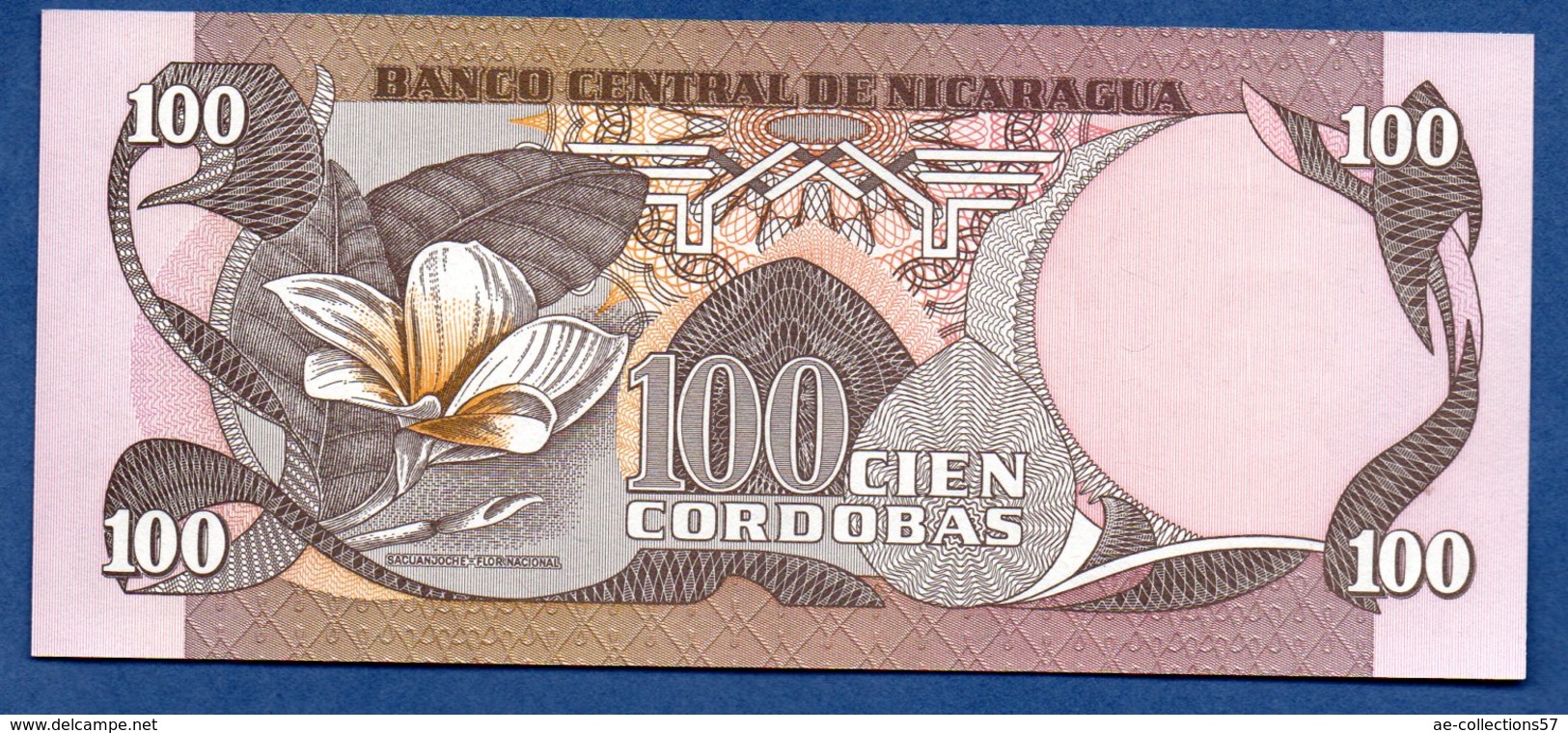 Nicaragua  -  100 Cordobas  - UNC - Nicaragua
