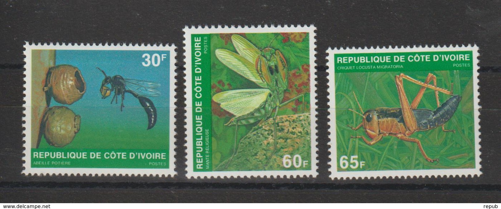 Cote D'Ivoire 1979 Insectes Yvert 508C-508E 3 Val Neuf ** MNH - Côte D'Ivoire (1960-...)