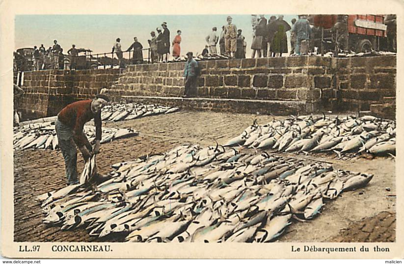 - Finistère -ref-E158-  Concarneau - Le Debarquement Du Thon - Thons - Pêche En Mer - Carte Colorisée - - Concarneau