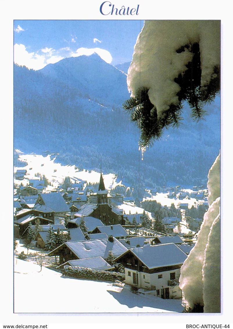 LOT N°1276 - LOT DE 65 CARTES DE CHATEL