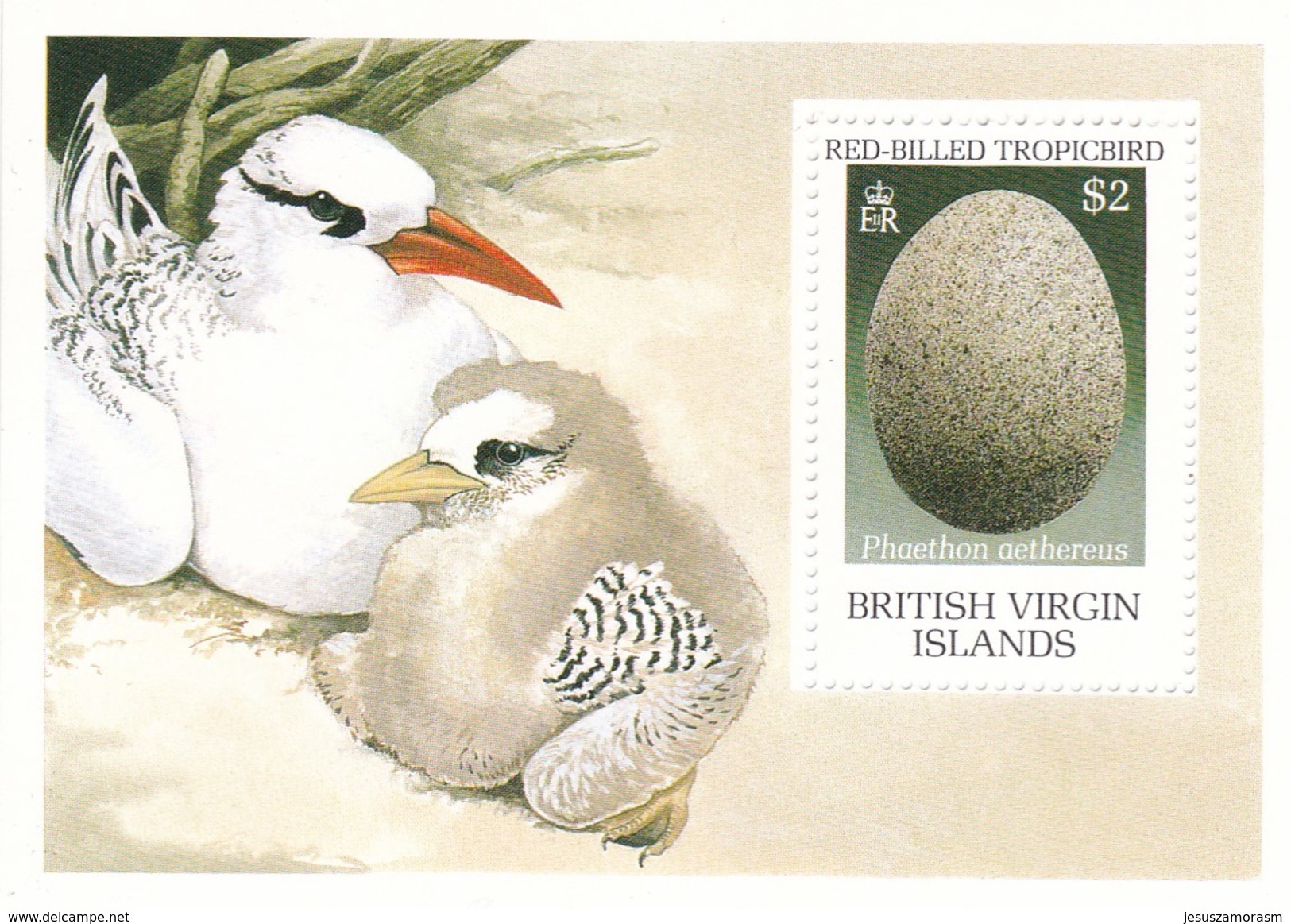 Virgenes Hb 61 - British Virgin Islands