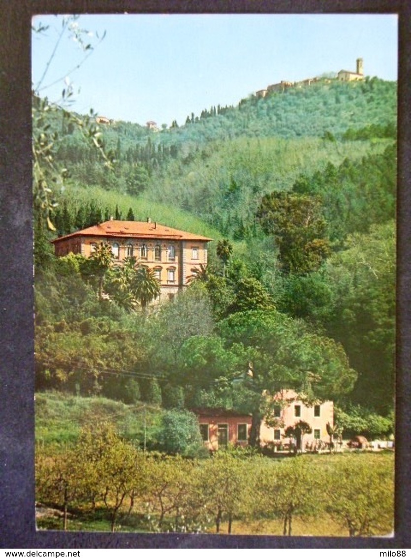 TOSCANA -LUCCA -CAMAIORE -F.G. LOTTO N°188 - Lucca