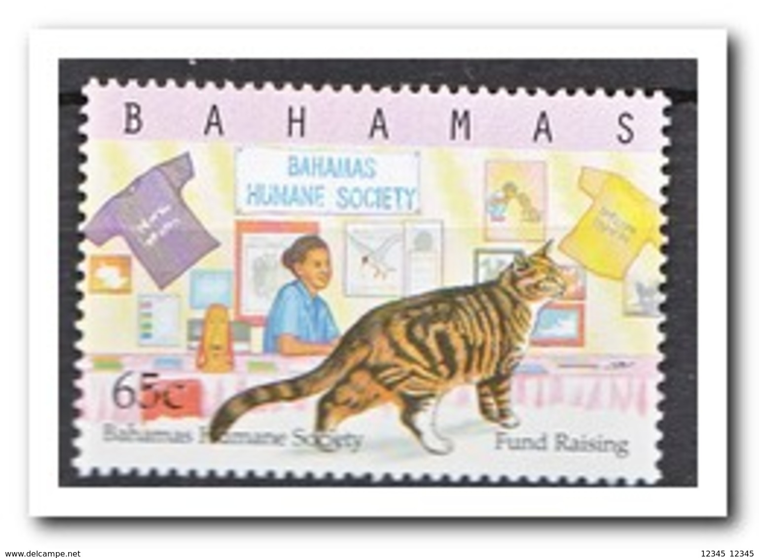 Bahama's 2000, Postfris MNH, Cats - Bahama's (1973-...)