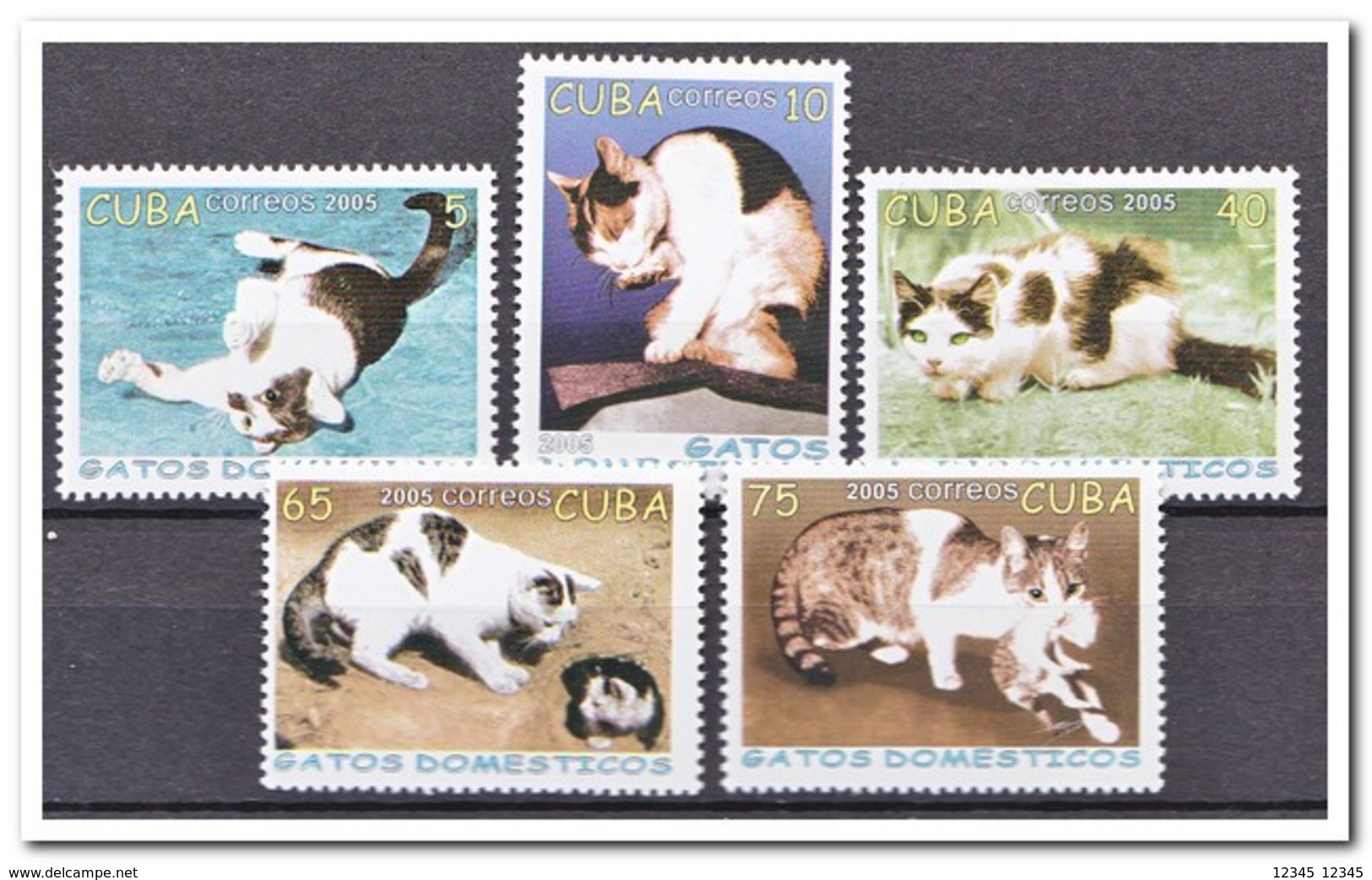 Cuba 2005, Postfris MNH, Cats - Ongebruikt