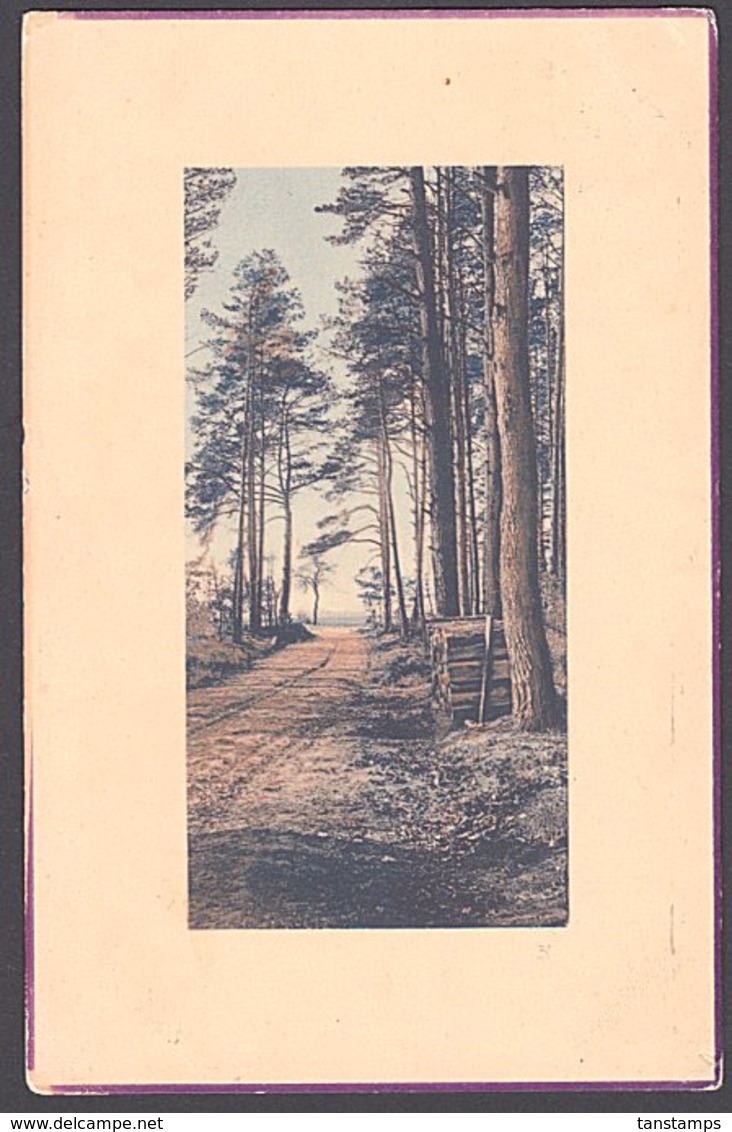 NZ Postcard 1/2d KEVII Rural Trees Scene. - Covers & Documents