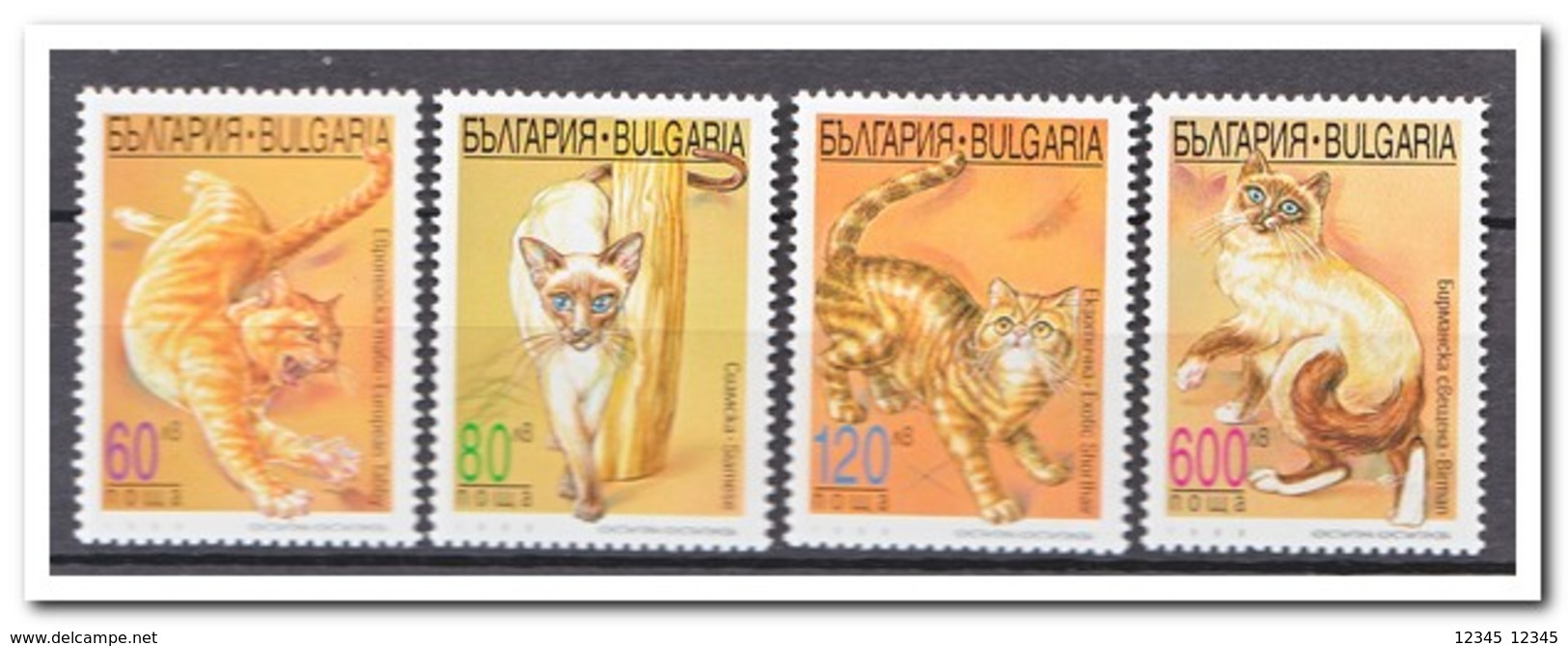 Bulgarije 1998, Postfris MNH, Cats - Ongebruikt