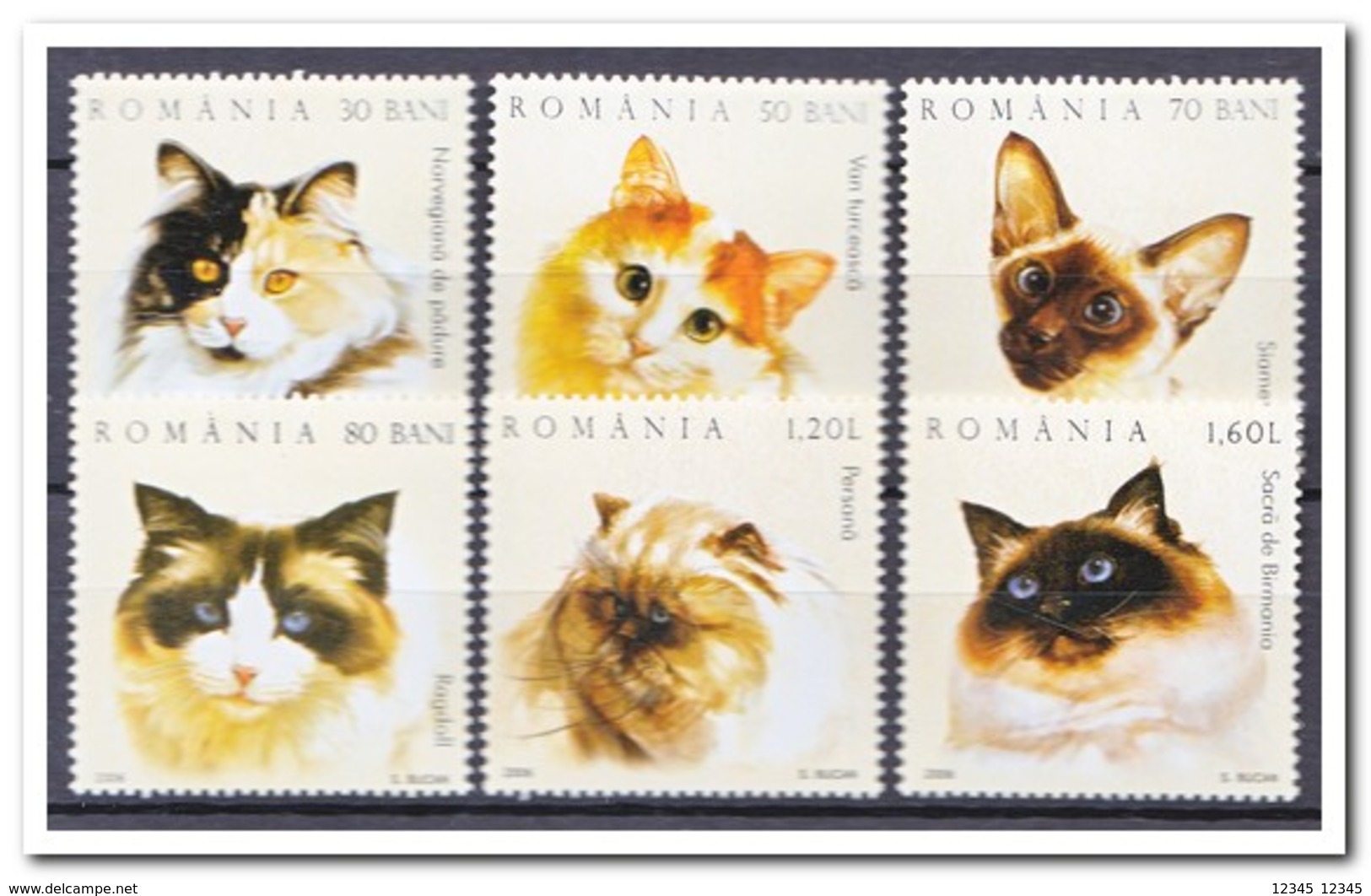 Roemenië 2006, Postfris MNH, Cats - Ongebruikt