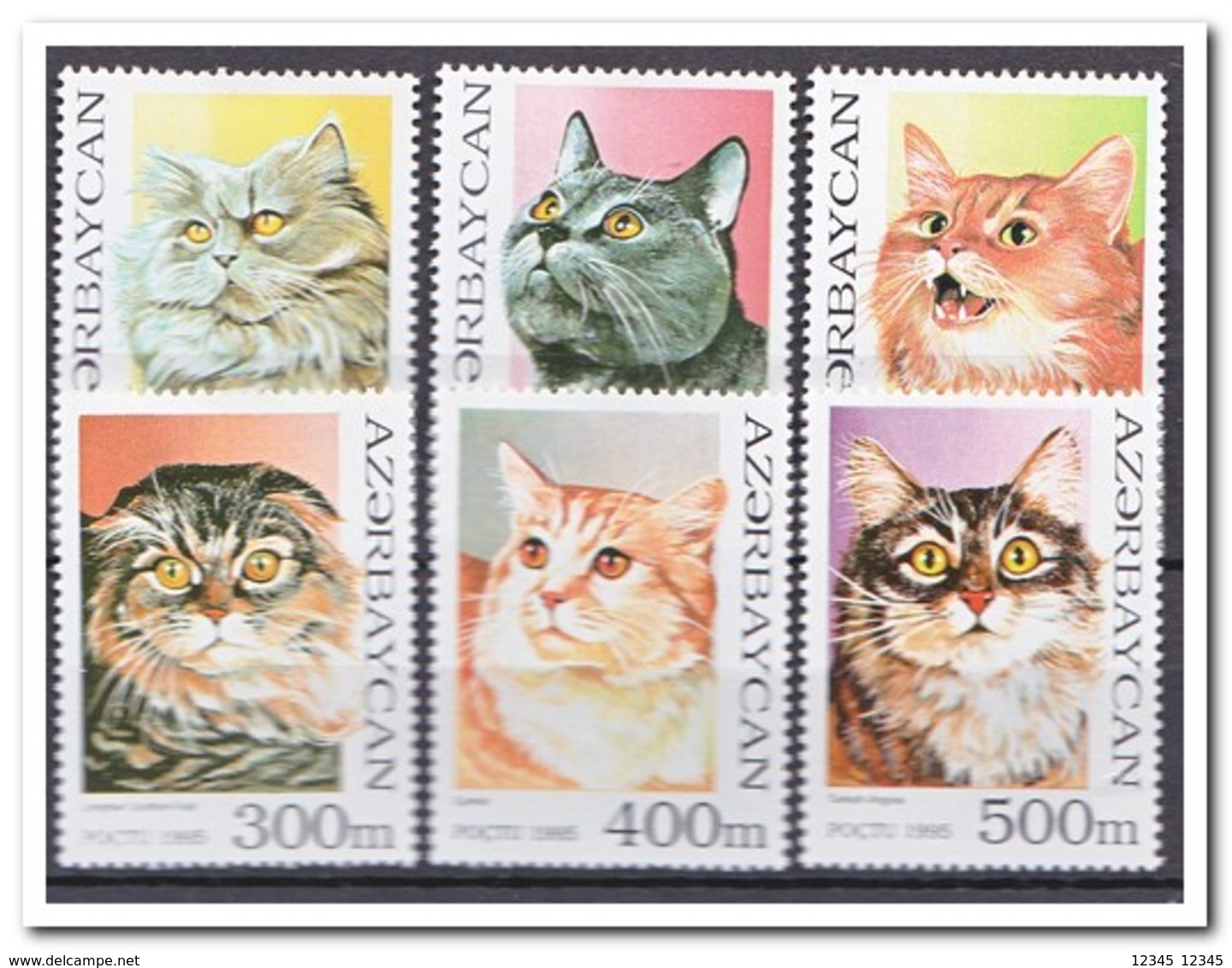 Azerbeidzjan 1995, Postfris MNH, Cats - Azerbeidzjan