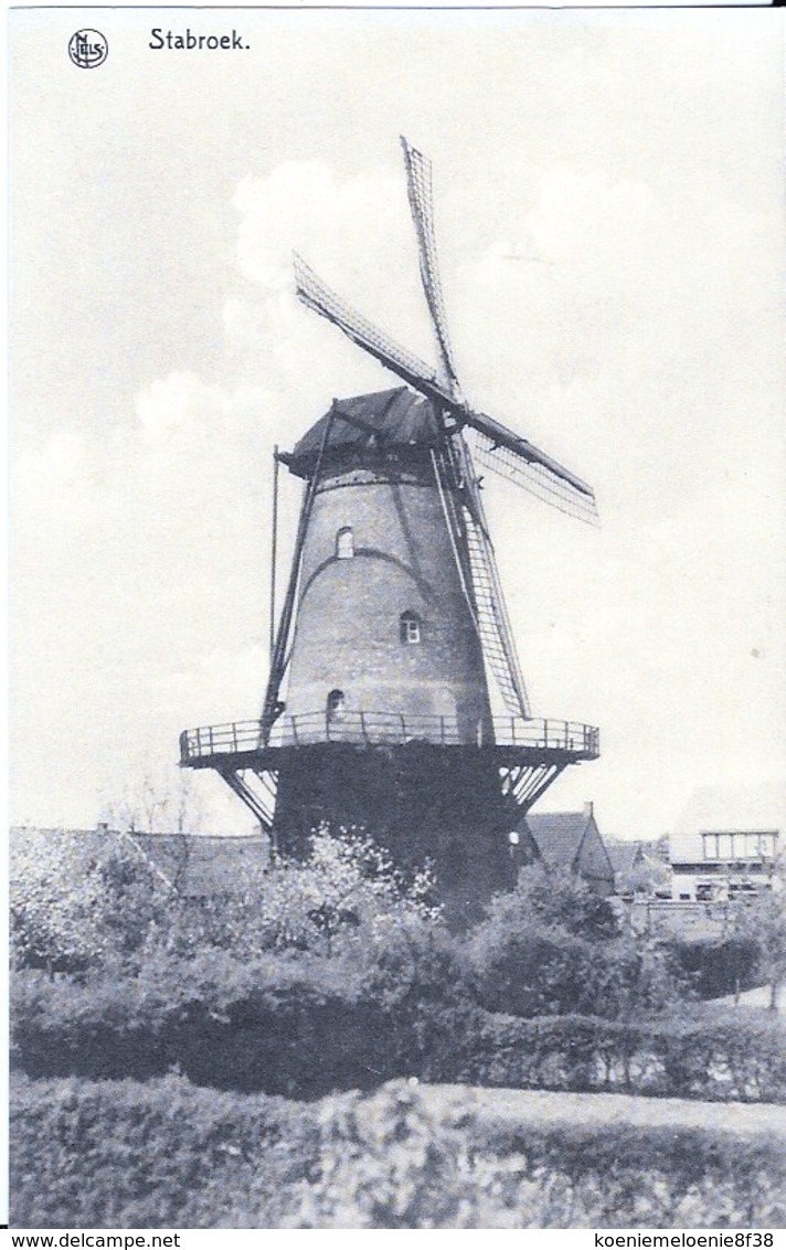 STABROEK - MOLEN - Andere & Zonder Classificatie