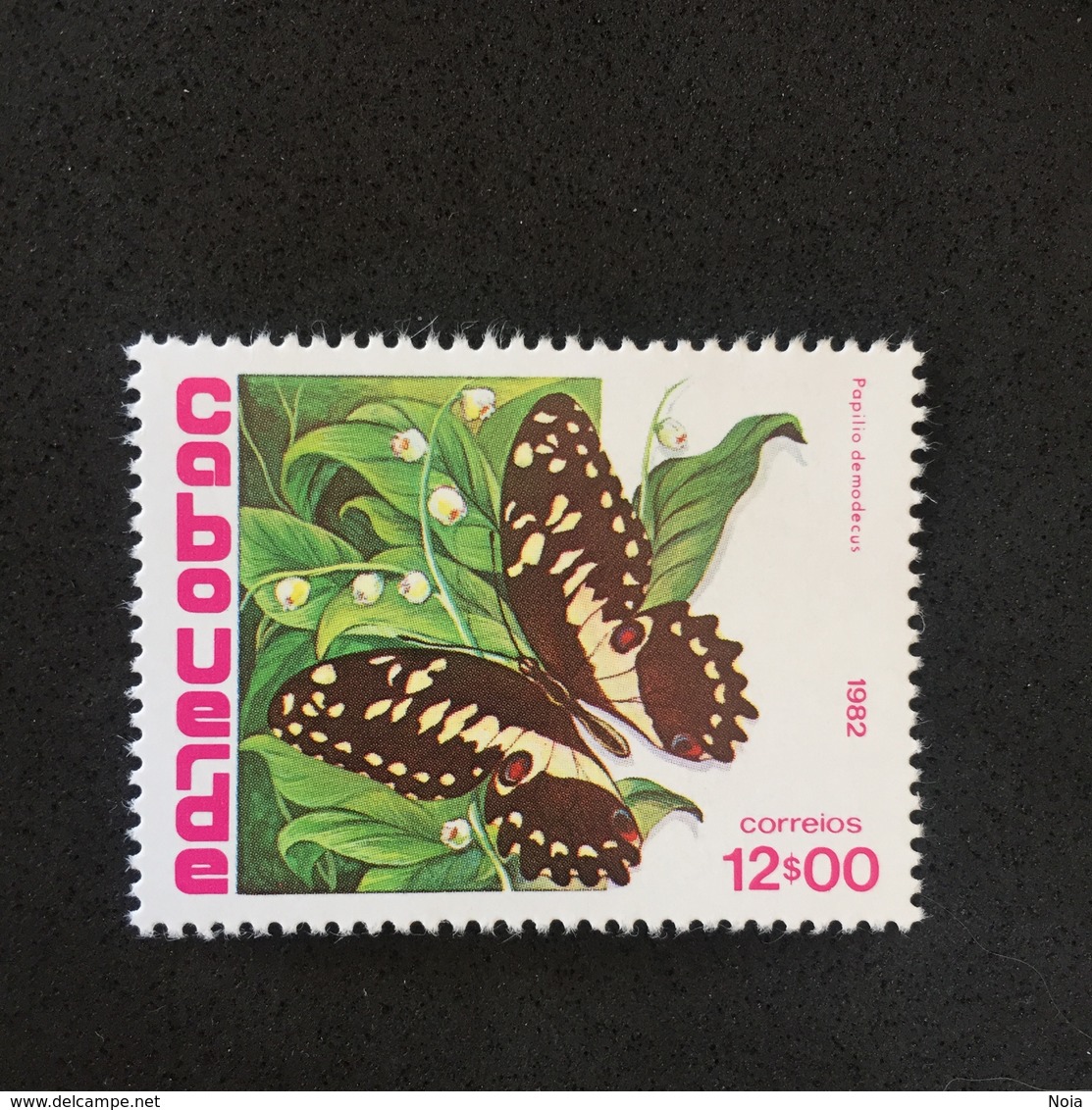 COBOUERDE. BUTTERFLY. 1982. MNH. C4004E - Butterflies