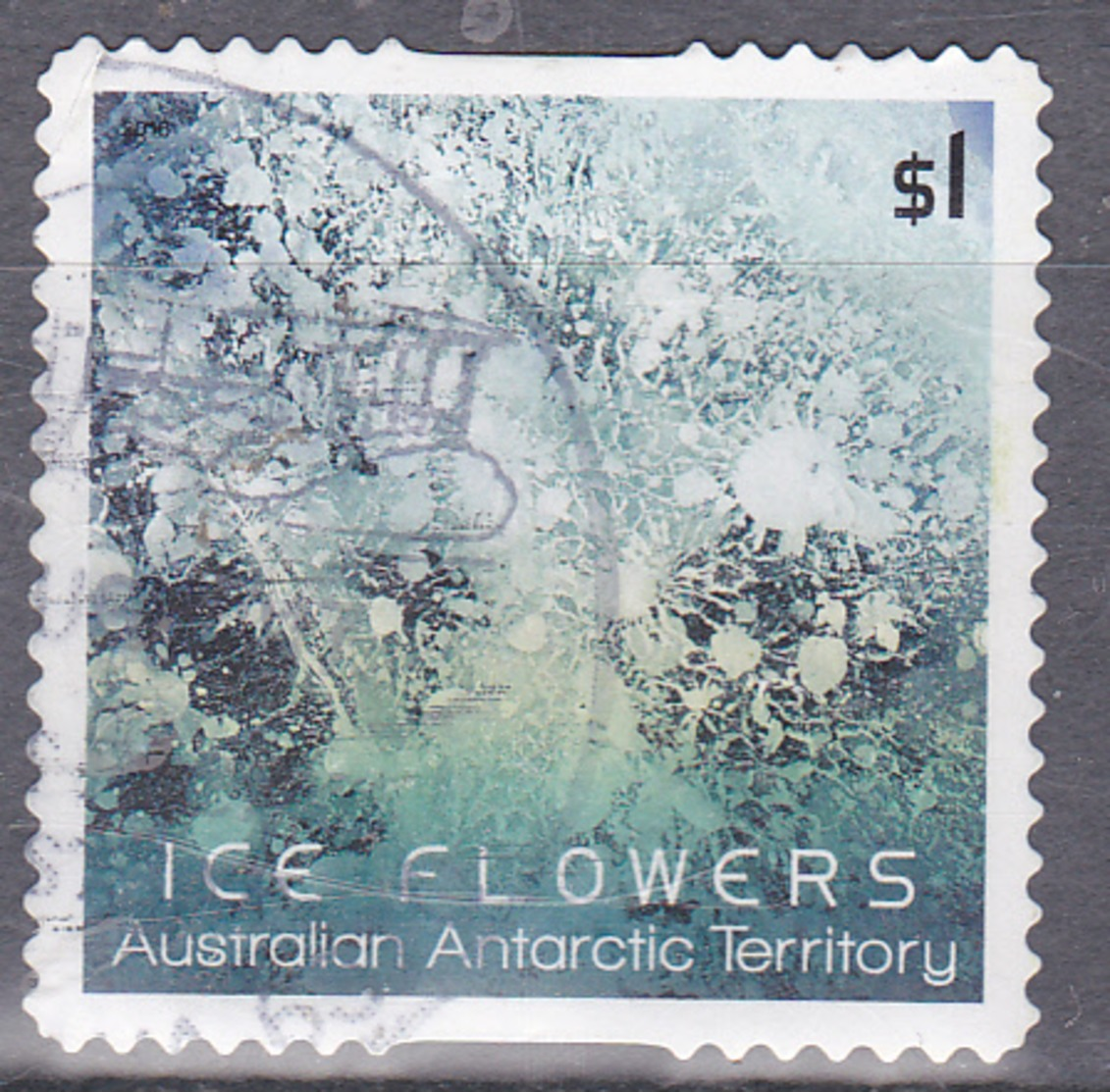 2016. AAT. Australian Antarctic Territory. Ice Flowers $1. Ice Flower. P&S. FU. - Used Stamps