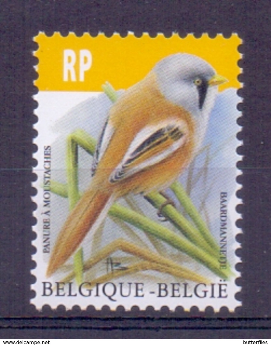 Belgie - 2019 - OBP -  ** Baardmannetje  - Vogels - A.Buzin ** - Nuevos