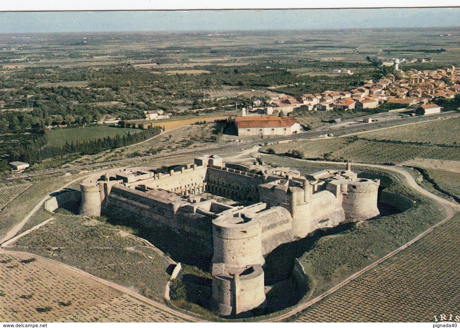 Cp , 66 , SALSES-le-CHÂTEAU , Le Château-fort Vu Du Ciel, Spécimen De L'architecture Espagnole Du XVe S. - Salses