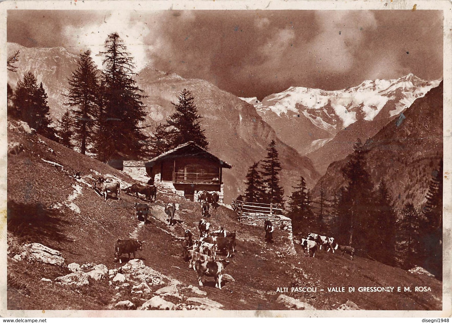 M07763 "ALTI PASCOLI - VALLE DI GRESSONEY E MONTE ROSA" ANIMATA, MANDRIA - CART. ORIG. NON SPED. - Altri & Non Classificati