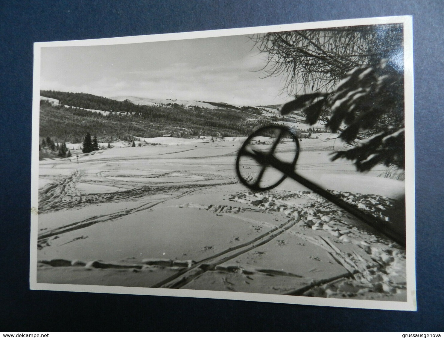 19900) VICENZA ASIAGO CAMPI DI NEVE NON VIAGGIATA - Vicenza