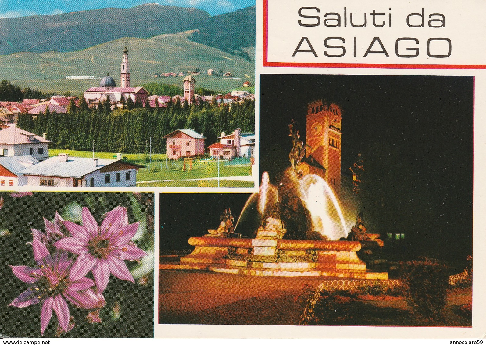 CARTOLINA: SALUTI DA ASIAGO (VI) - F/G - COLORI - VIAGGIATA  - LEGGI - Altri & Non Classificati