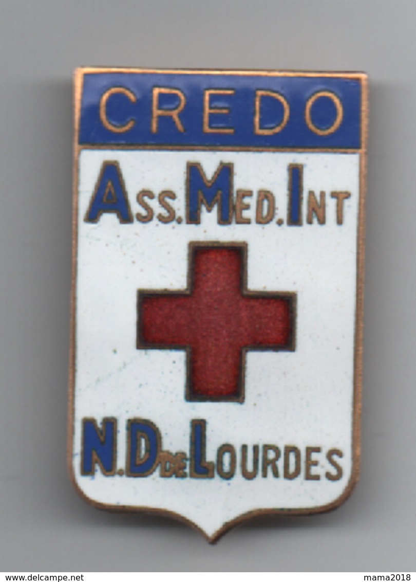 Broche  Cloisonnée émaillée  Ass  Med Int  Credo Lourdes  43 Mm X 26 Mm - Services Médicaux