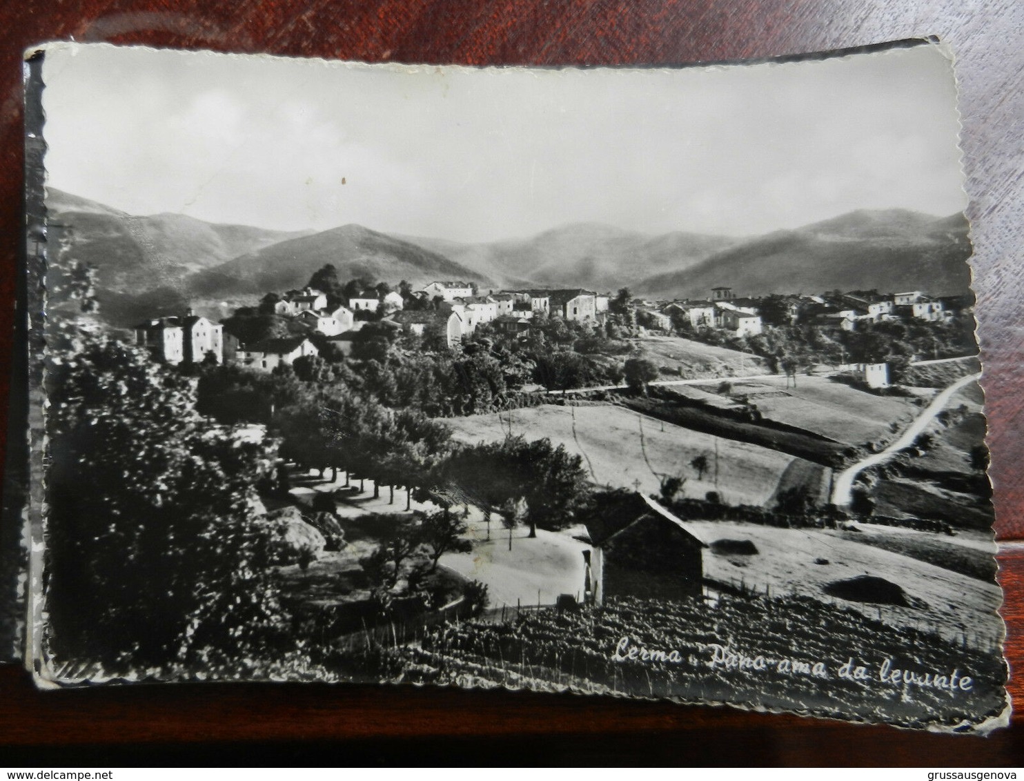 16959) ALESSANDRIA LERMA PANORAMA DA LEVANTE VIAGGIATA 1954 - Alessandria