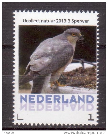 Nederland  Persoonlijke Zegel Birds, Vogel, : Sperwer, Sparrow-hawk - Ongebruikt