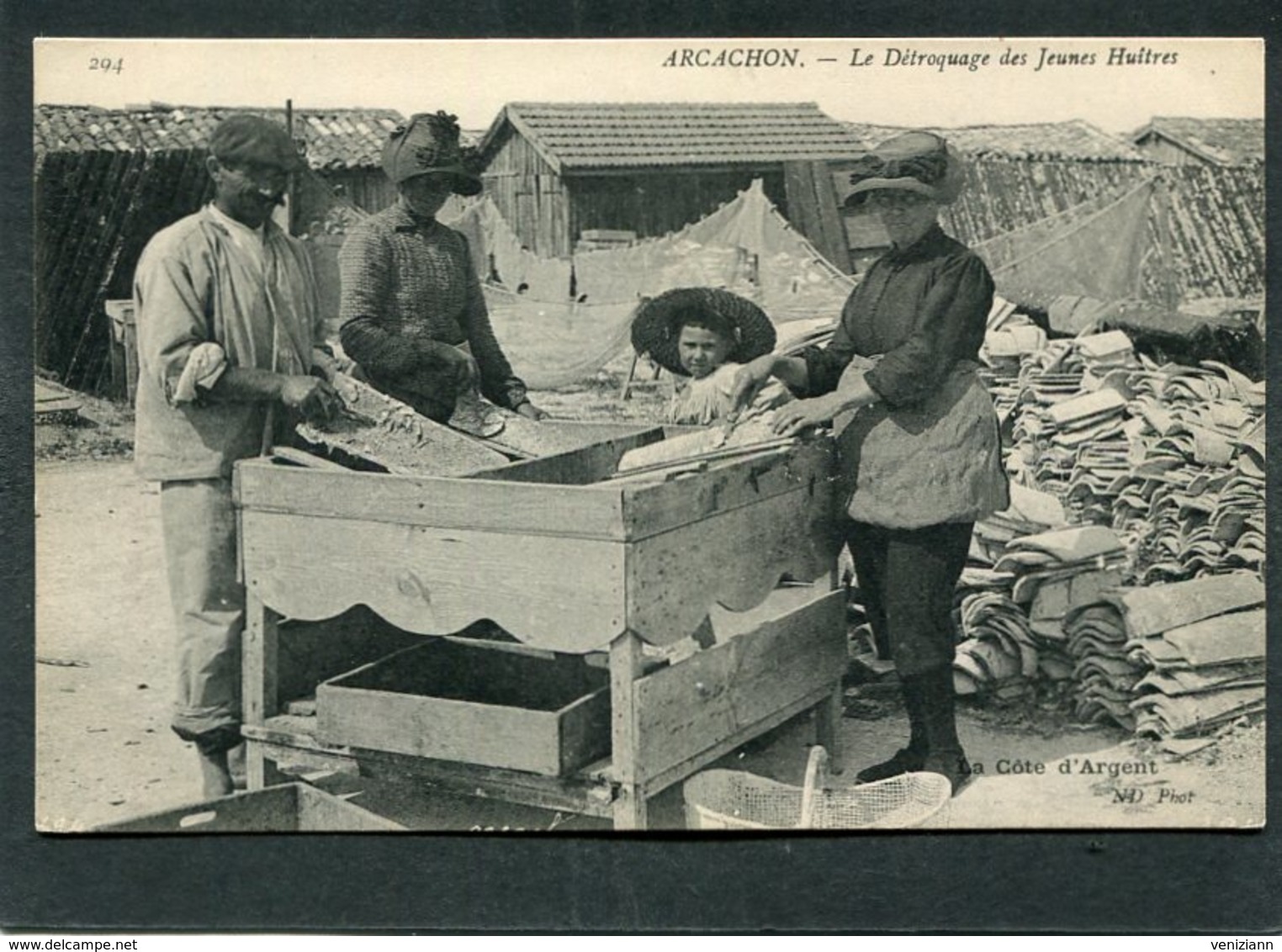 CPA - ARCACHON - Le Détroquage Des Jeunes Huîtres, Animé - Arcachon