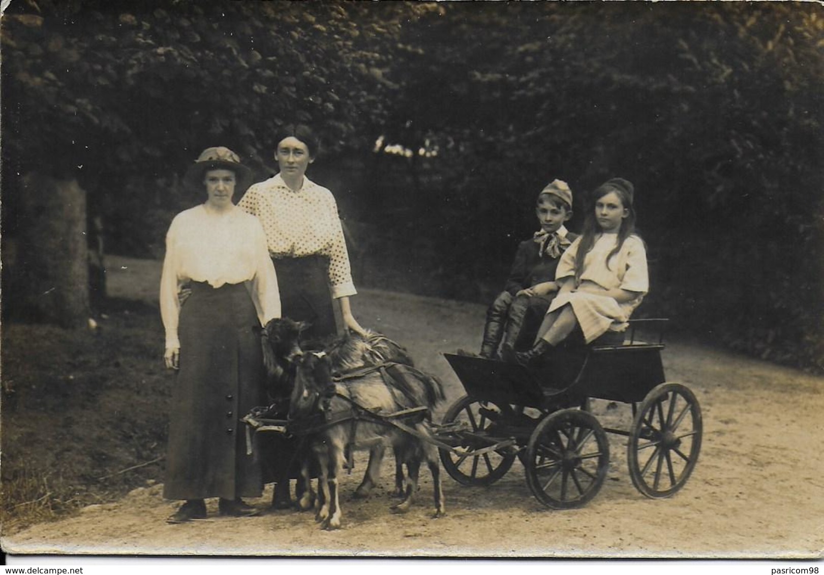 Photo Cpa  Attelage Chèvres Superbe -enfants - Autres & Non Classés