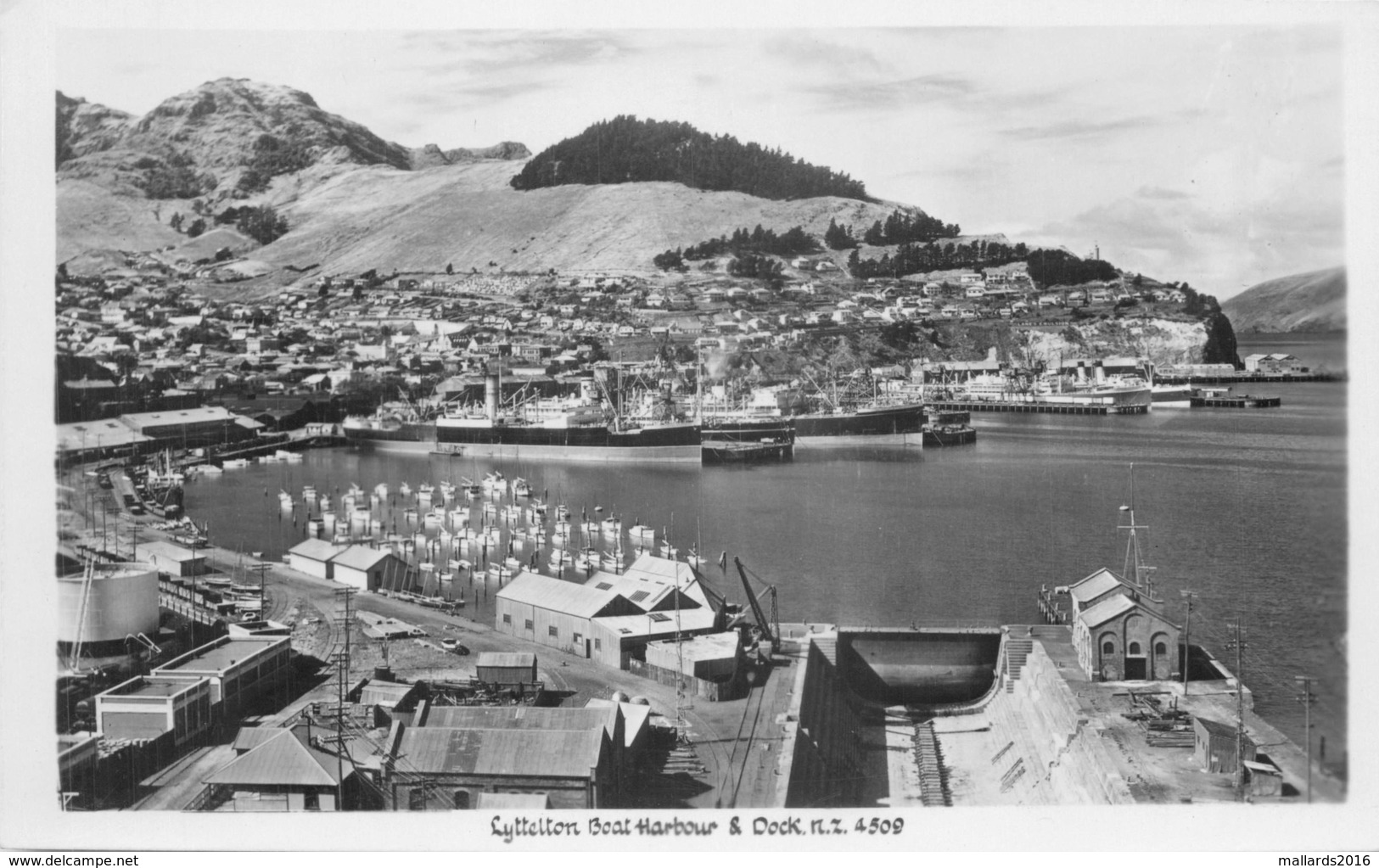 LYTTELTON, HARBOUR & DOCK, NEW ZEALAND ~ AN OLD REAL PHOTO POSTCARD #90835 - Nieuw-Zeeland