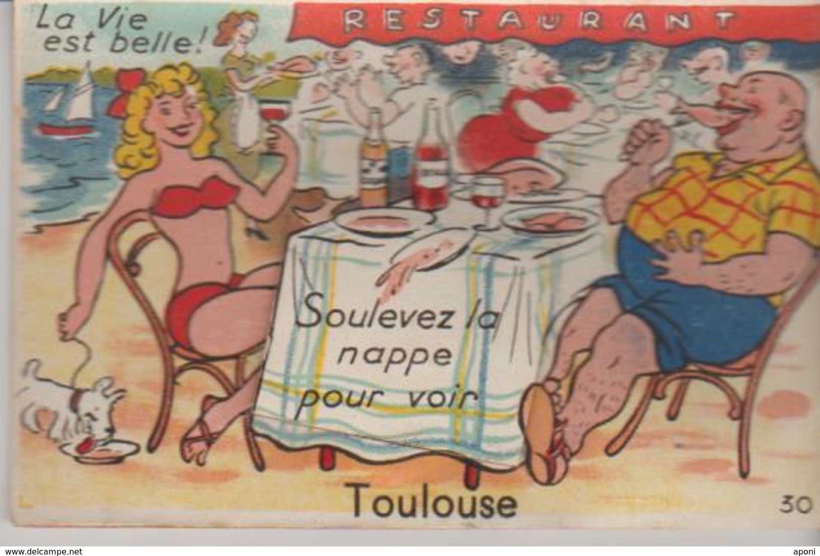 31 (  Toulouse  ".soulevez La Nappe Pour Voir...."  ) - A Systèmes