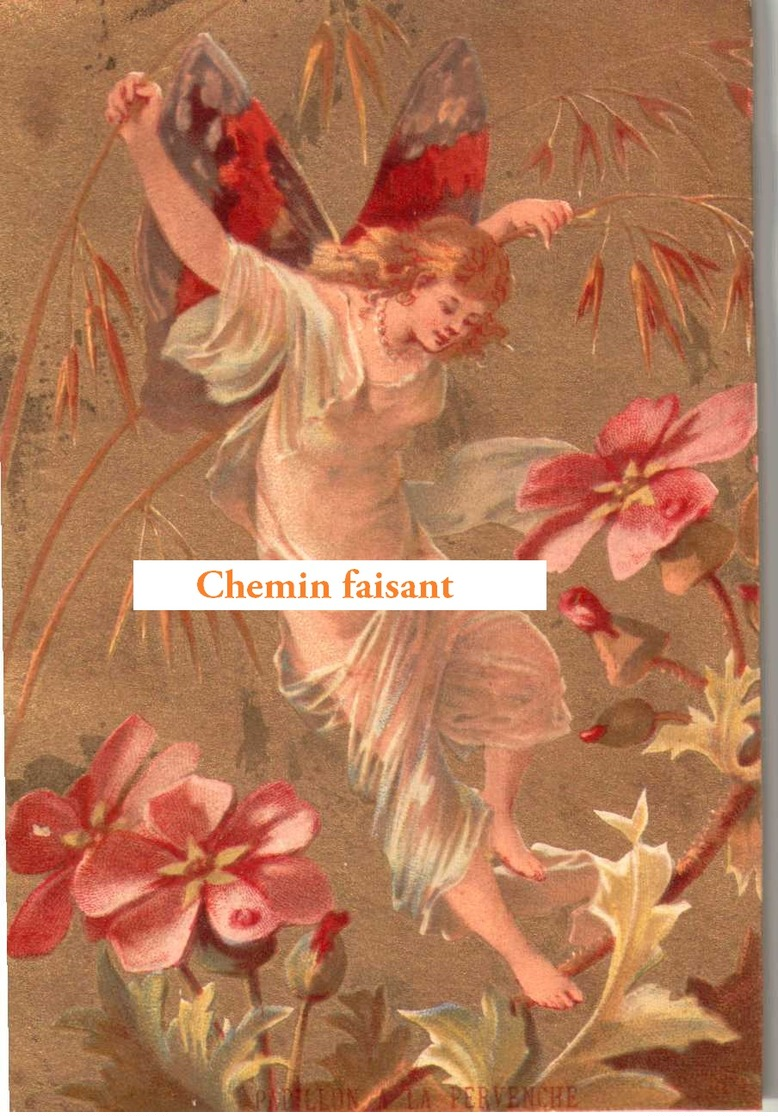 Chromo Fillette Avec Ailes De Papillon Sur Les Fleurs -  Scans Recto Verso - Autres & Non Classés