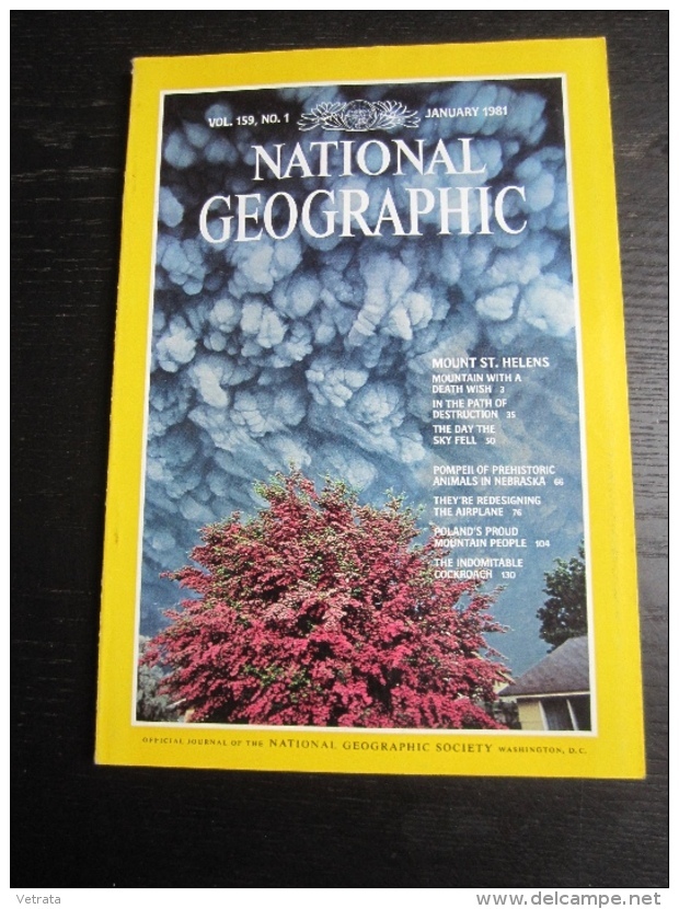 NATIONAL GEOGRAPHIC Vol. 159  N°1, 1981 : Mount St Helens - Prehistoric Animals In Nebraska - Geographie