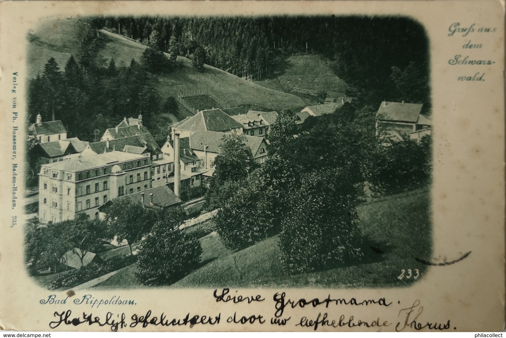 Bad Rippoldsau // Gruss Aus Dem Schwartz Wald 1901 - Bad Rippoldsau - Schapbach