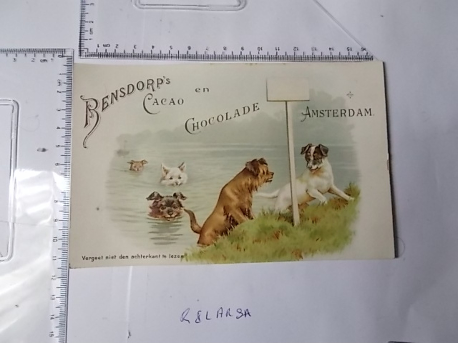 Chromo Cacao Bensdorp's -chiens Jouant Dans L'eau Photo Recto/verso - Autres & Non Classés