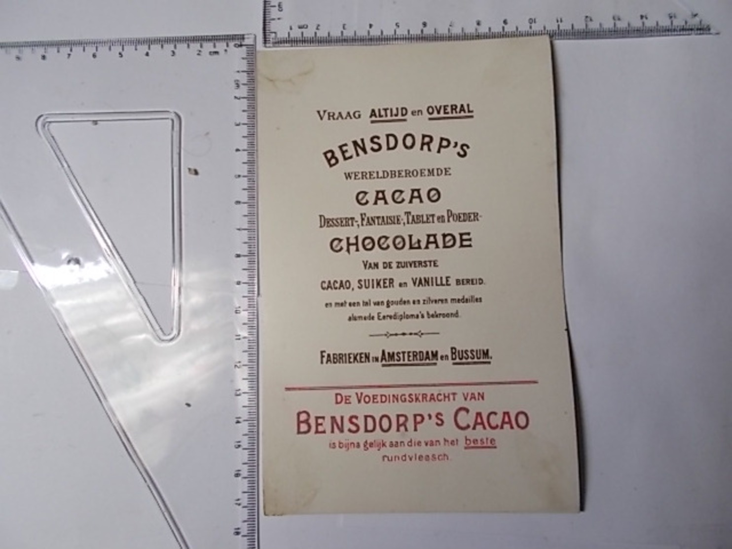 Chromo Cacao Bensdorp's -chiens Jouant Dans L'eau Photo Recto/verso - Altri & Non Classificati