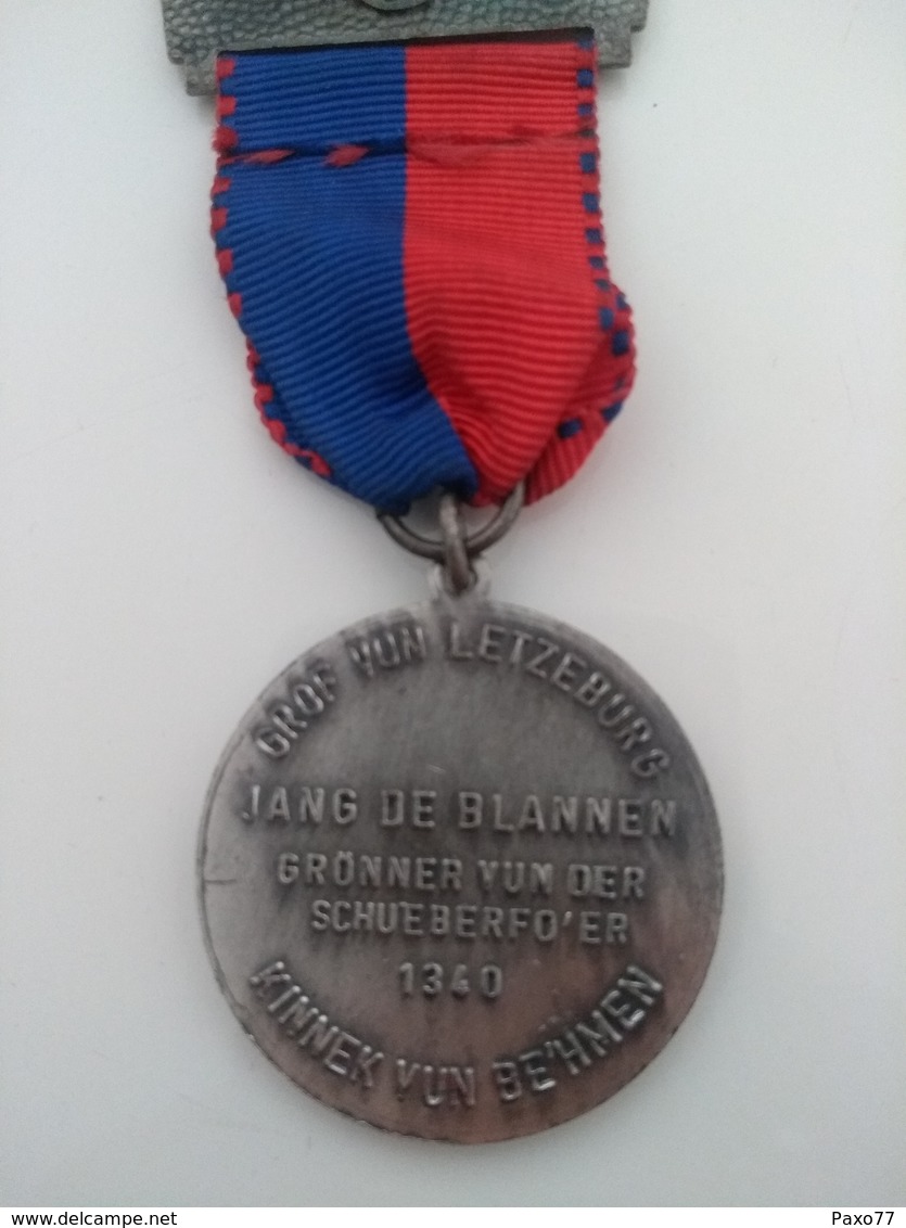 Luxembourg Médaille , Limpertesberg 1972 - Autres & Non Classés