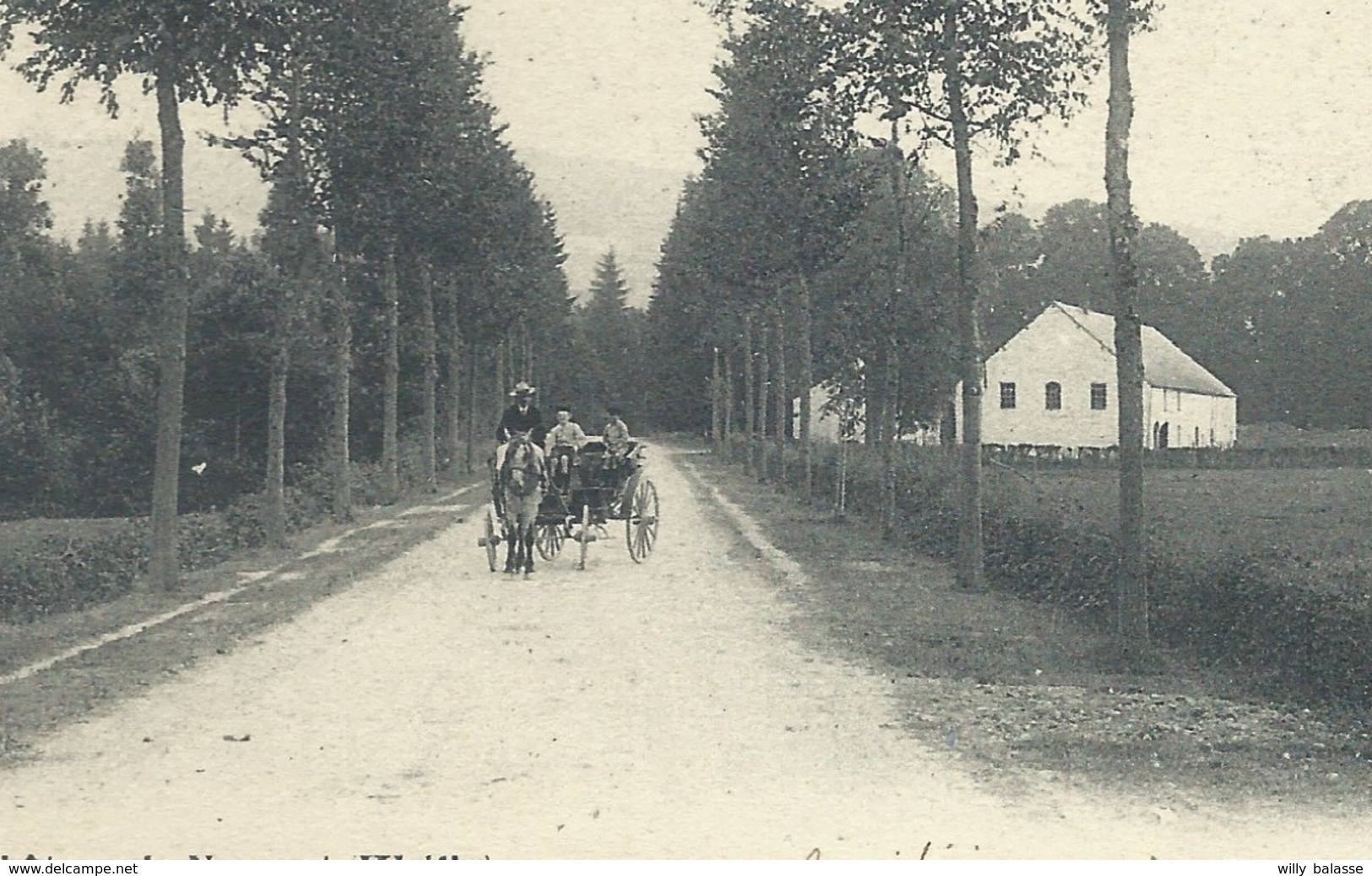 +++ CPA - Entrée Du Château De NEUPONT - WELLIN - Attelage - Cachet Taxe  // - Wellin