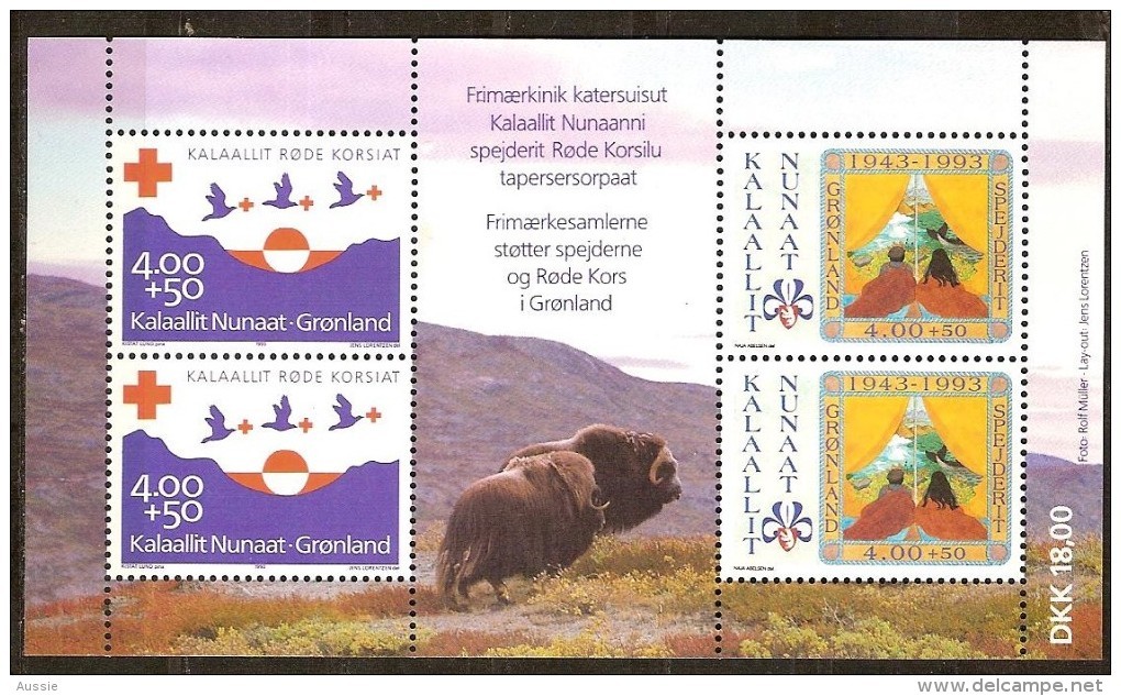 Groenland Greenland 1993 Yvertn° Bloc 4 *** MNH  Cote 24,00 Euro Croix Rouge Rode Kruis - Blocks & Sheetlets