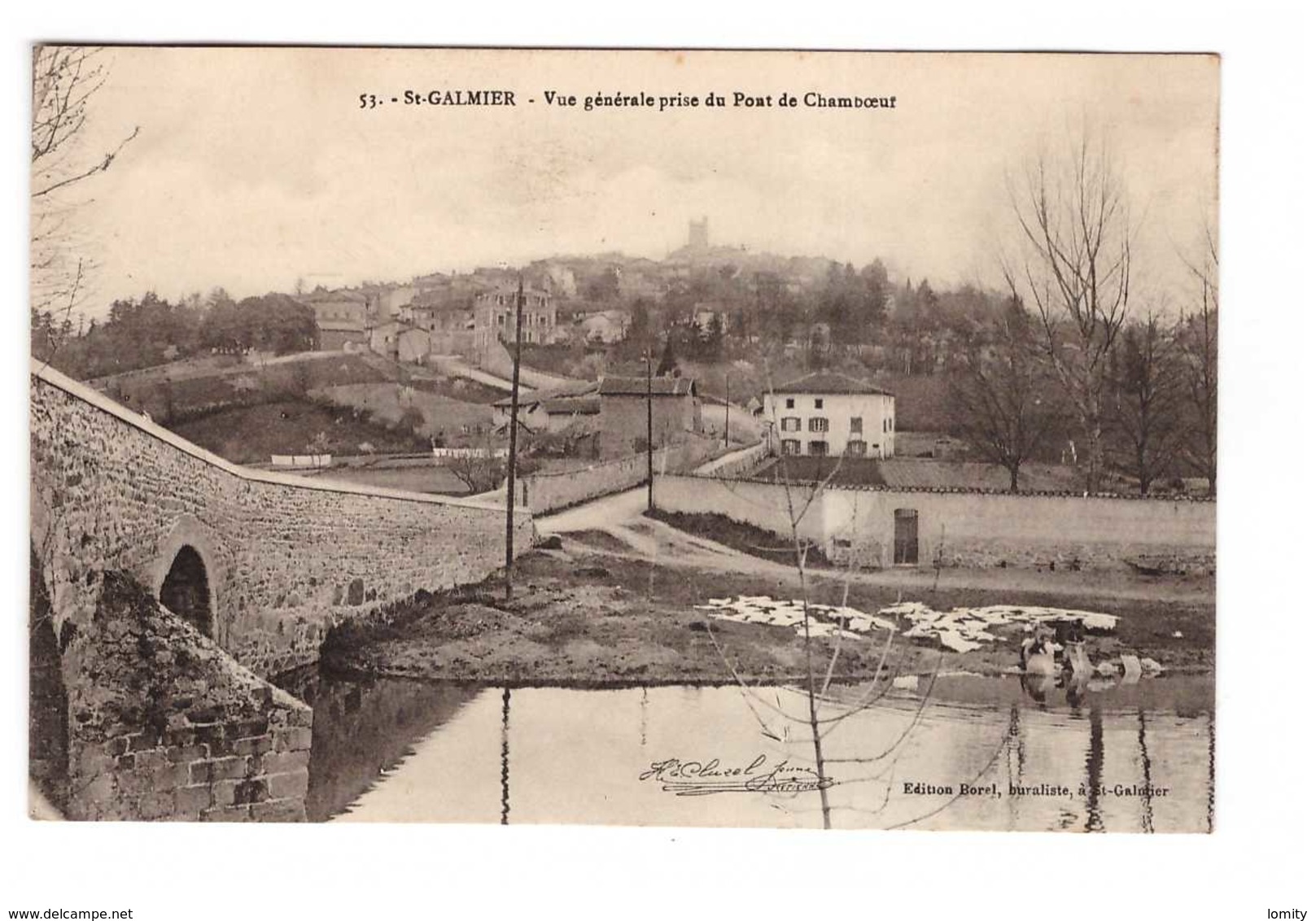 42 St Saint Galmier Vue Générale Prise Du Pont De Chamboeuf - Other & Unclassified