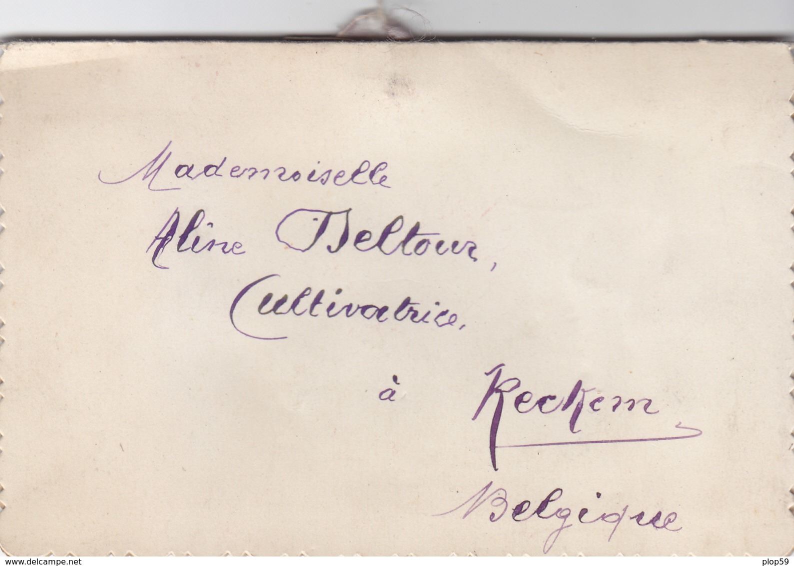 Cpa 2 Scans Double Carte Soie Brodée Violettes Et Petite Fleurs Roses Ruban Gaufrée Dentelée  Circulé 1927 Bonne Fète Re - Brodées