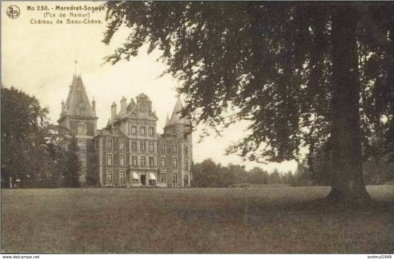 MAREDRET-SOSOYE - Château De Beau-Chêne - Anhée