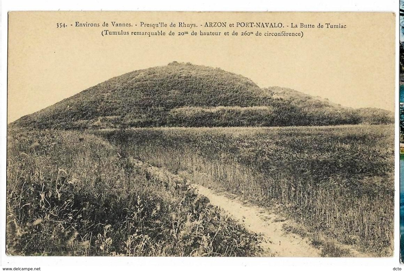 Environs De Vannes  Presqu'ILE De RHUYS  - ARZON Et PORT-NAVALO Butte De Tumiac (Tumulus Remarquable...) - Arzon