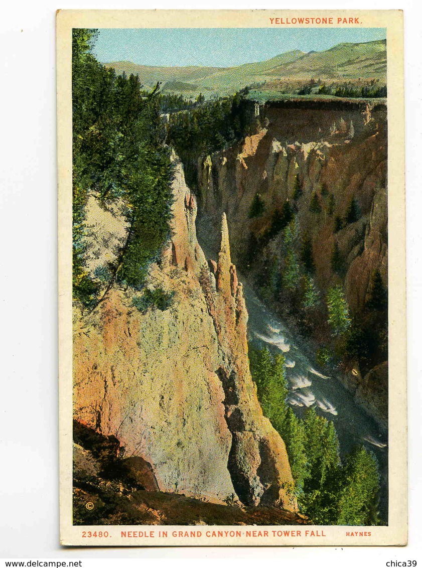 C 225  -  Needle In Grand Canyon Near Tower Fall  -  Yellowstone Parc - Yellowstone