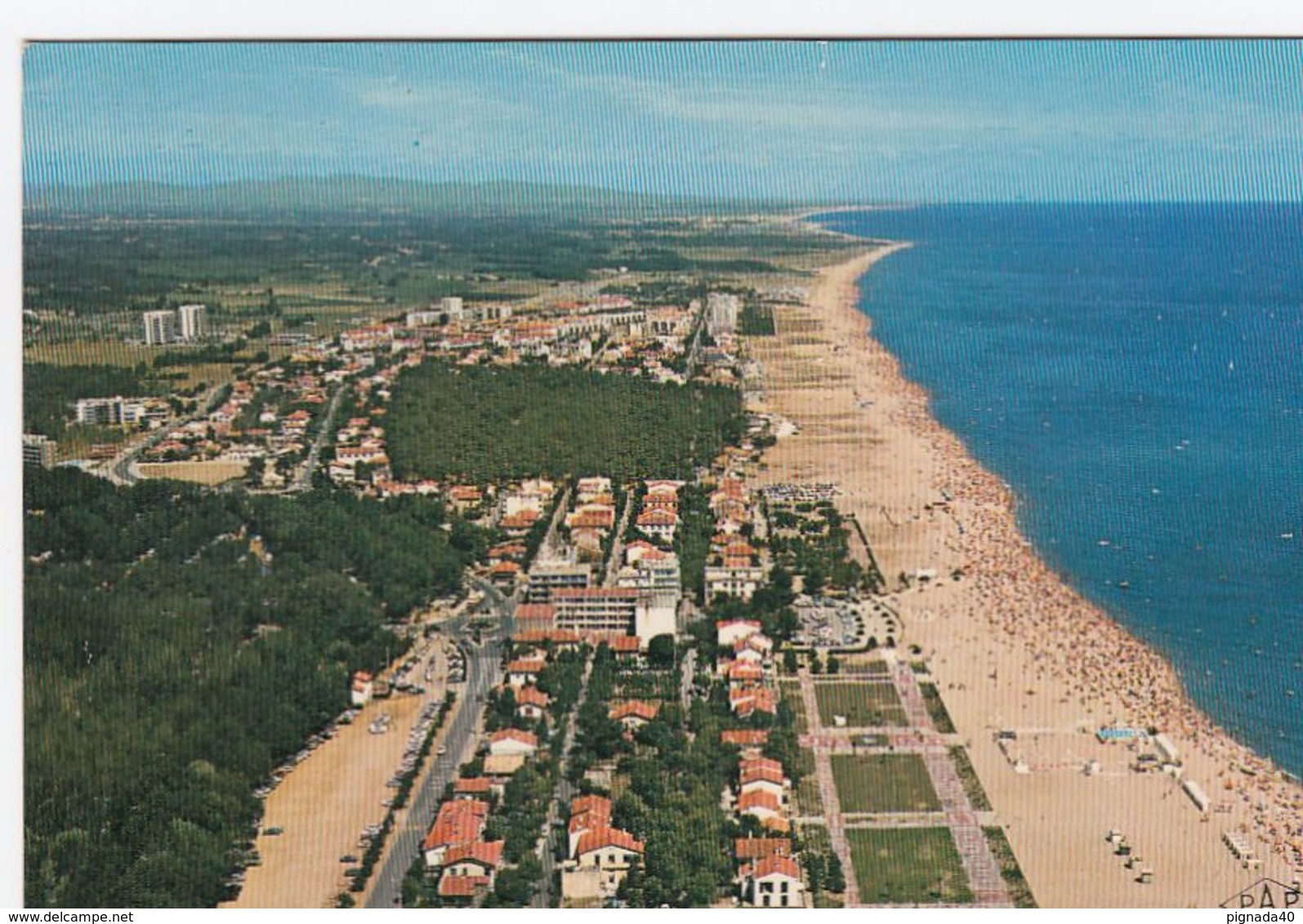 Cp , 66 , ARGELES-sur-MER , Vue Générale, Le Front De Mer - Argeles Sur Mer