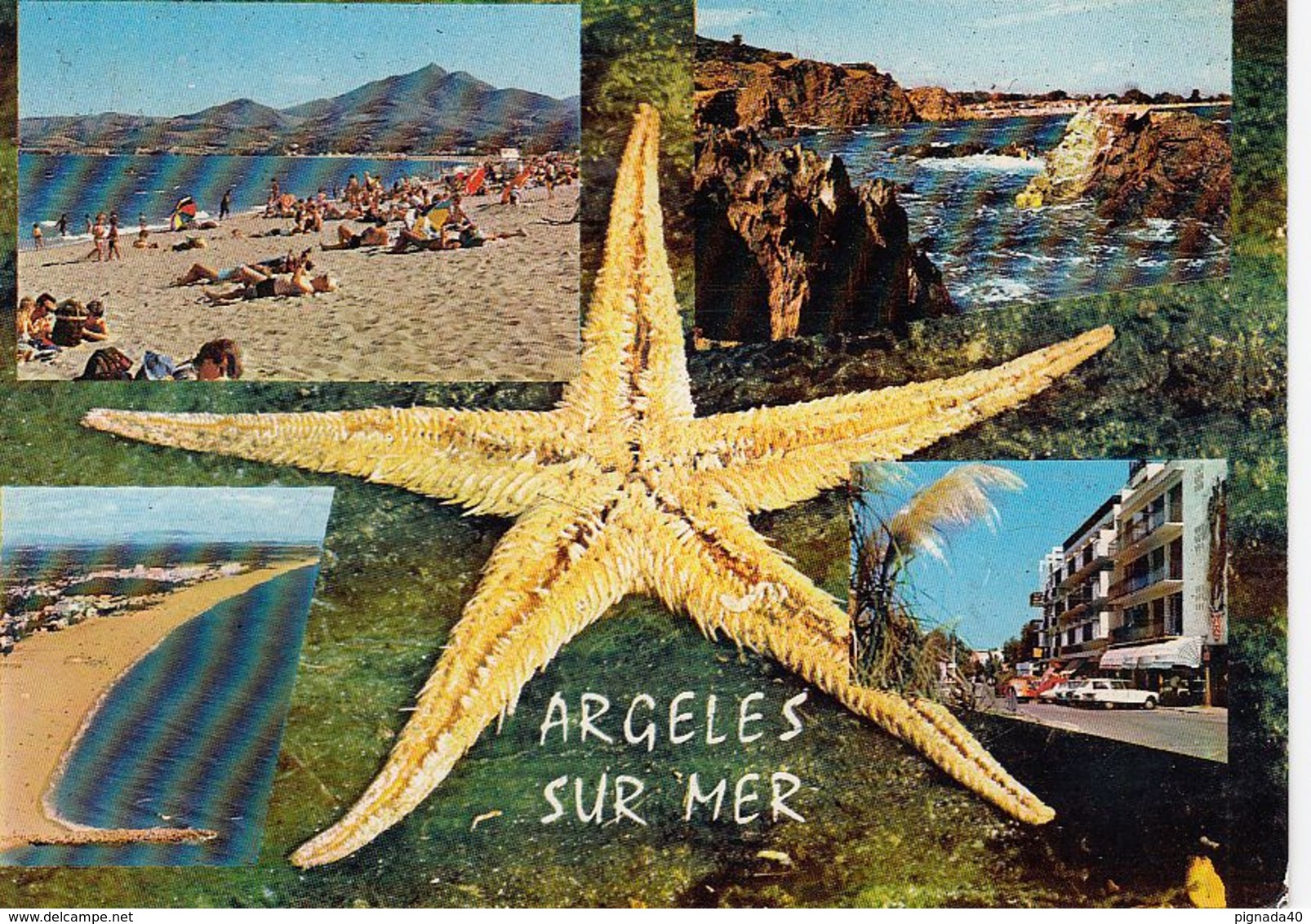 Cp , 66 , ARGELES-sur-MER , La Plage, Au Loin Les Albères, Le Racou , Multi-Vues - Argeles Sur Mer