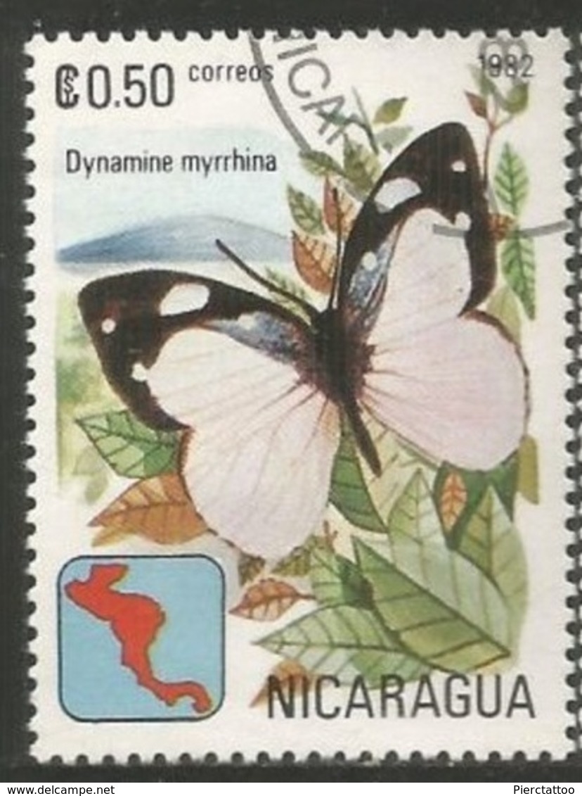 Dynamine Myrrhina (Papillon/Animaux) - Nicaragua - 1982 - YT 1180 - Oblitéré - Nicaragua