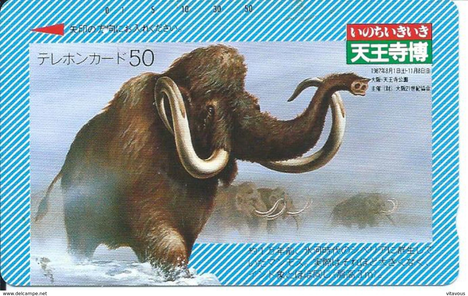 éléphant Elephant Animal Télécarte Indonésie Phonecard  (D 276) - Indonesien