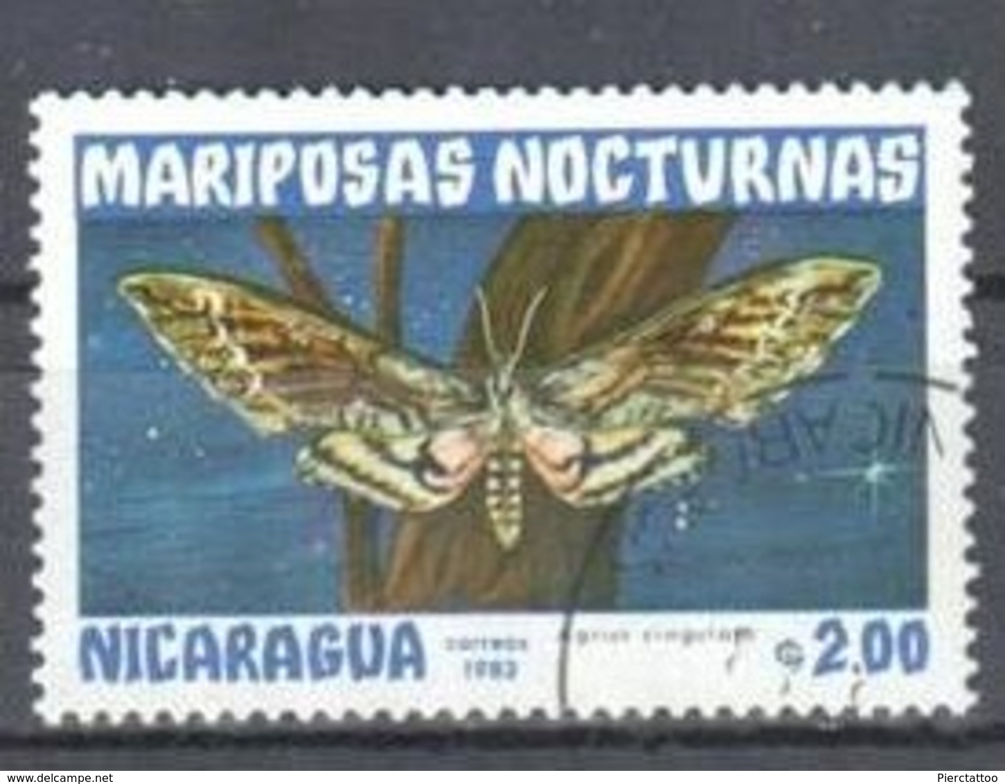 Agrius Cingulata (Papillon/Animaux) - Nicaragua - 1983 - YT 1244 - Oblitéré - Nicaragua