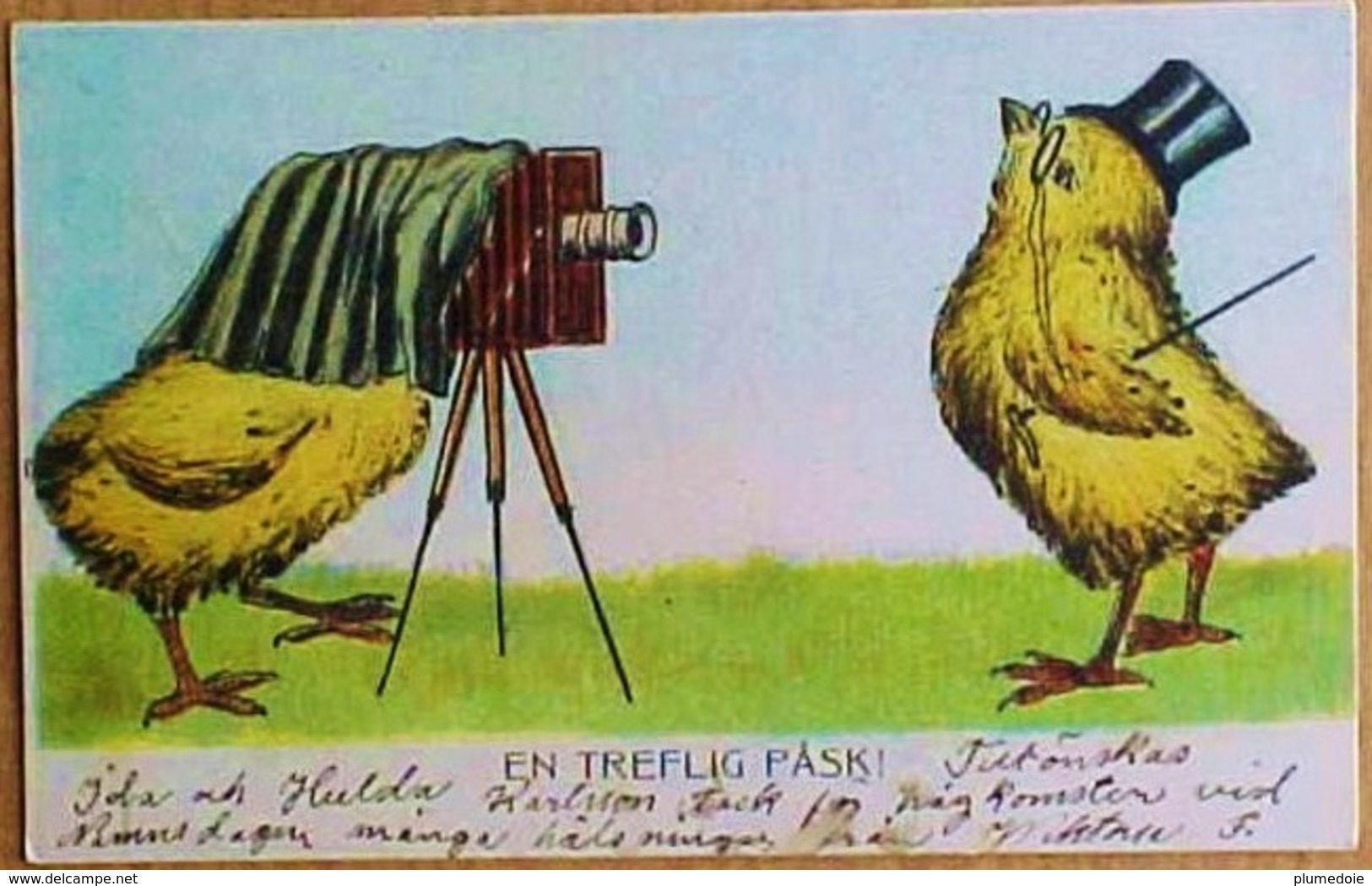 Cpa PÂQUES POUSSIN PHOTOGRAPHE Appareil Photo Soufflet  Trépied Chapeau Monocle 1909 DRESSED CHICK W CAMERA . EASTER - Ostern