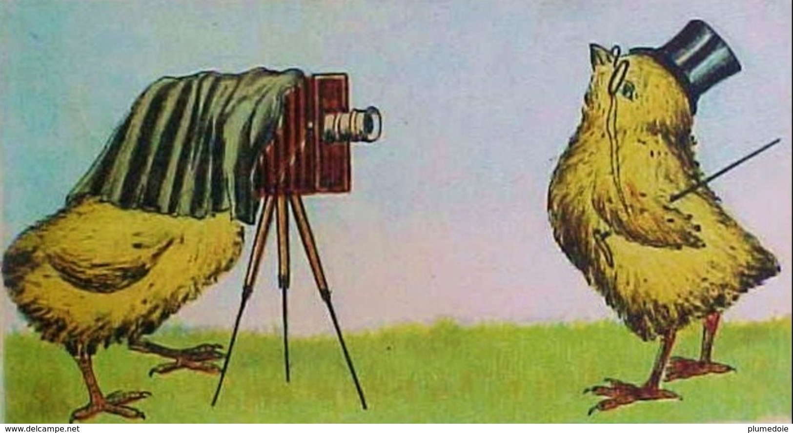 Cpa PÂQUES POUSSIN PHOTOGRAPHE Appareil Photo Soufflet  Trépied Chapeau Monocle 1909 DRESSED CHICK W CAMERA . EASTER - Pâques